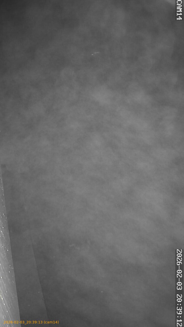 thumbnail_20260203203913