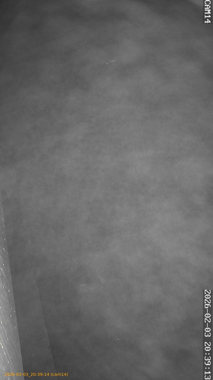 thumbnail_20260203203914