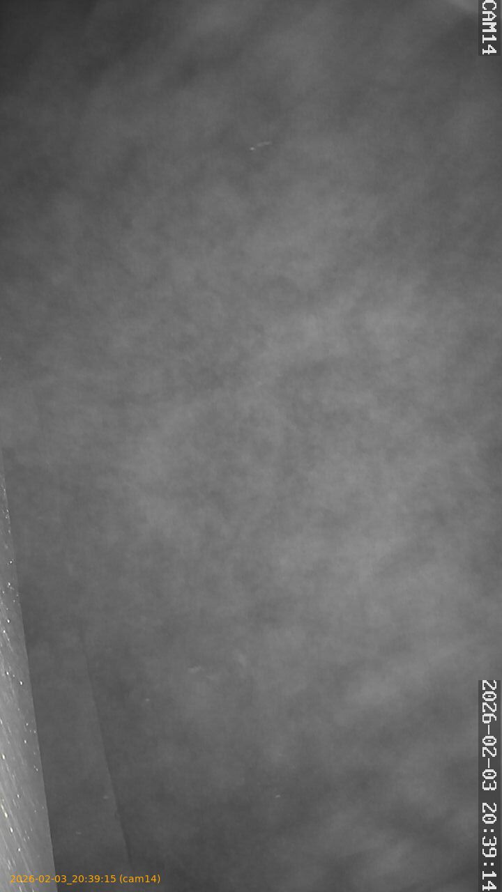 thumbnail_20260203203915