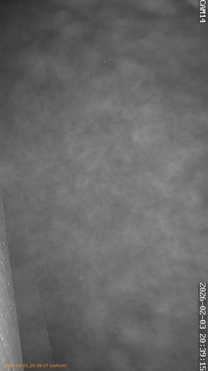 thumbnail_20260203203916