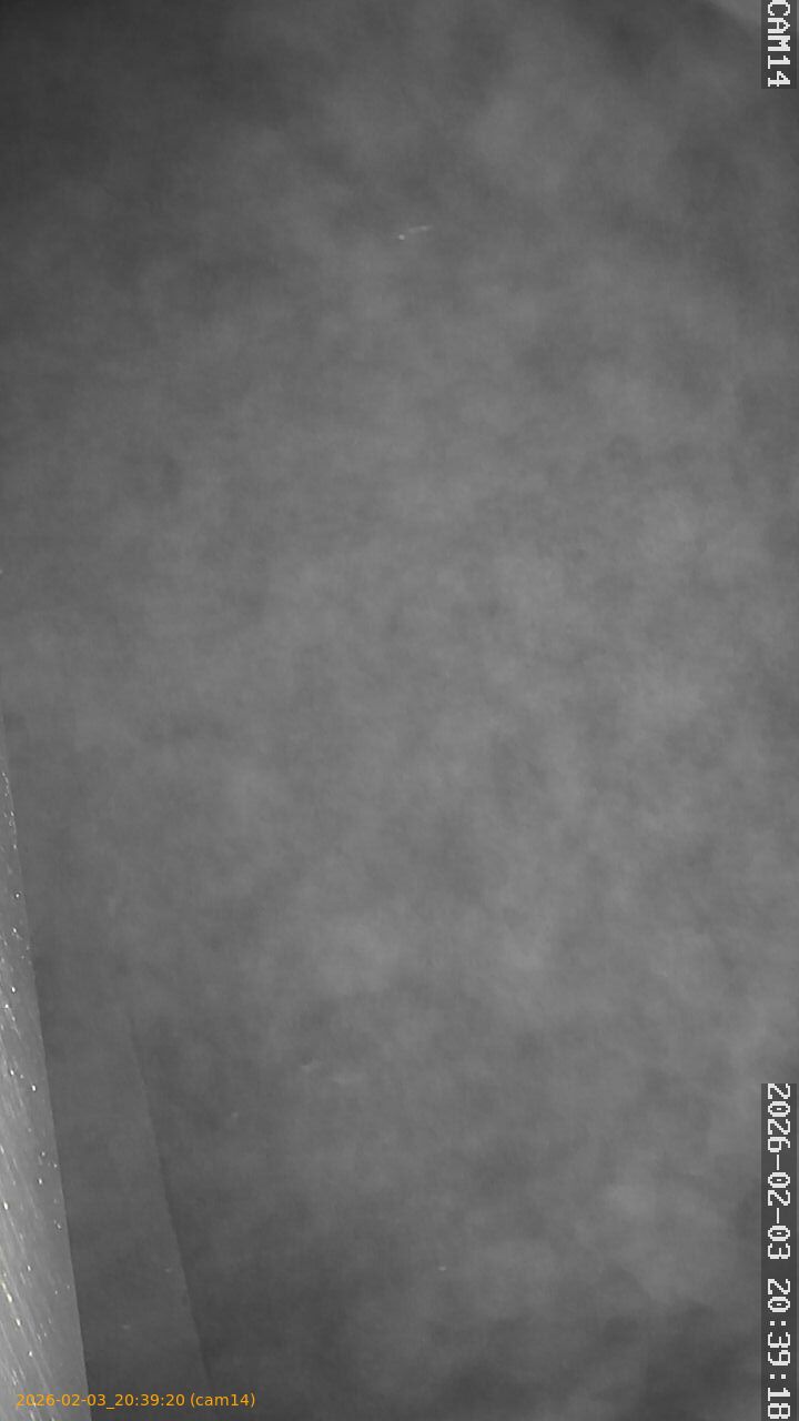 thumbnail_20260203203919