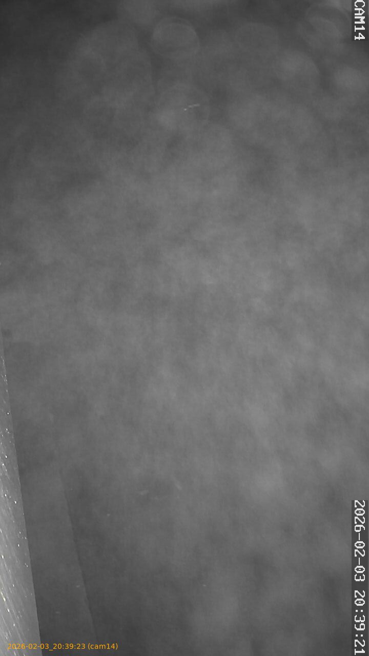 thumbnail_20260203203923