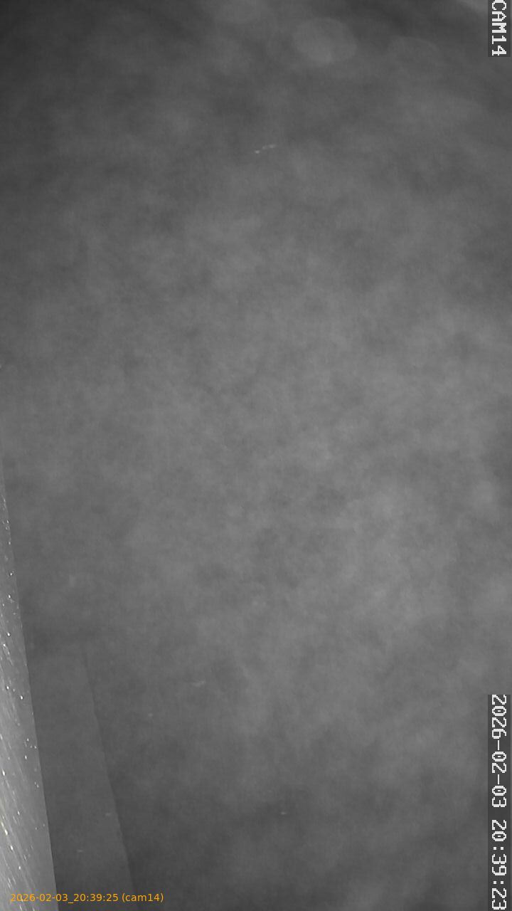 thumbnail_20260203203925