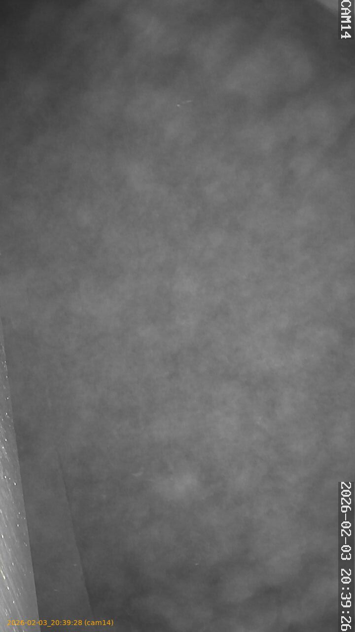 thumbnail_20260203203928