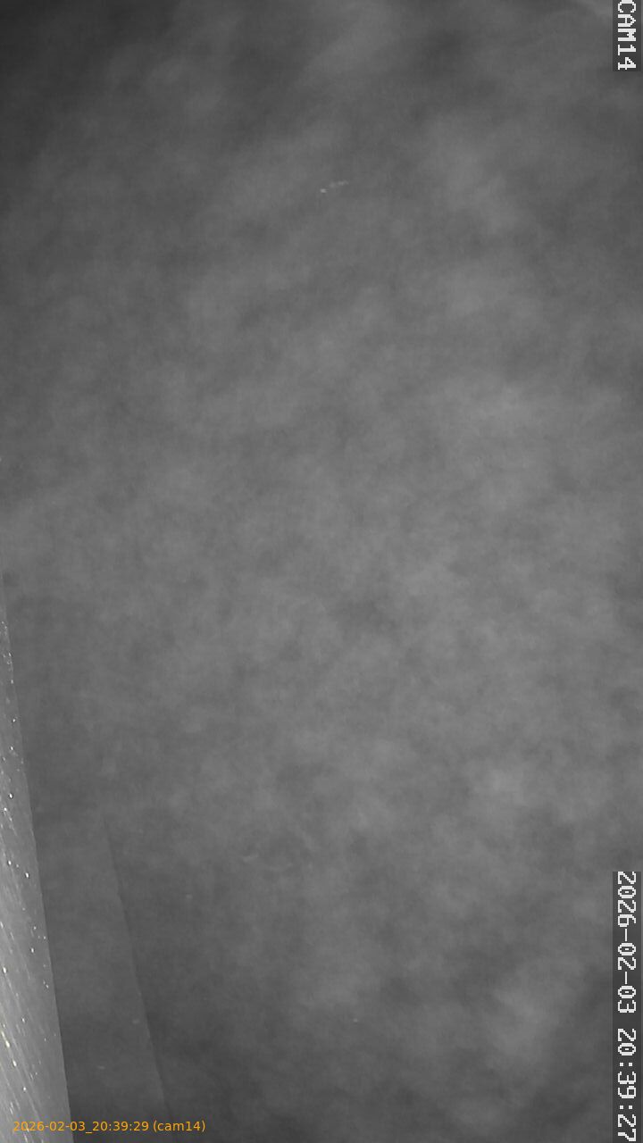 thumbnail_20260203203929