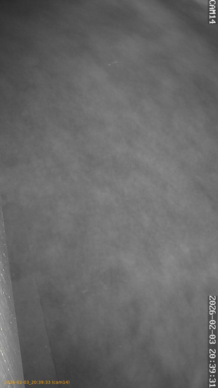 thumbnail_20260203203933