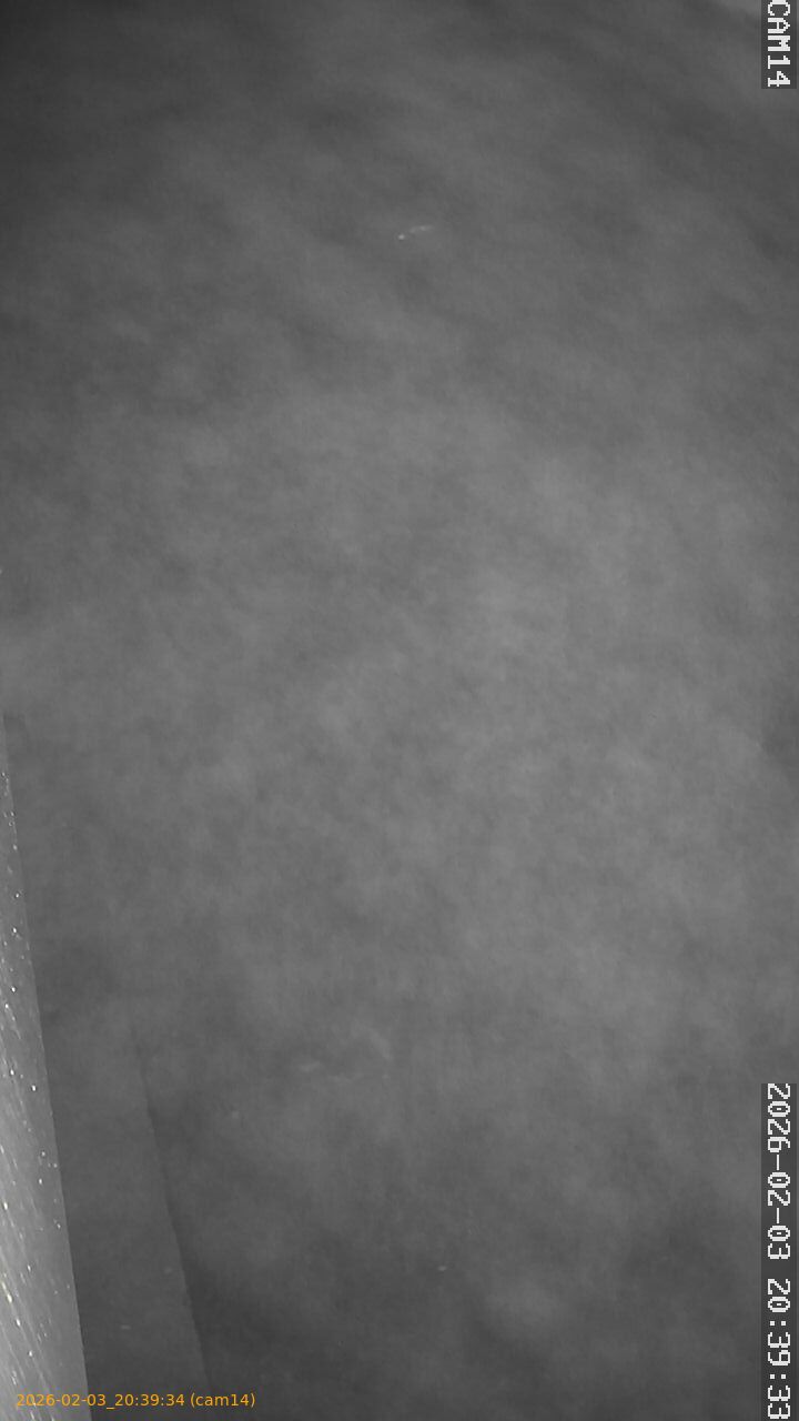 thumbnail_20260203203934