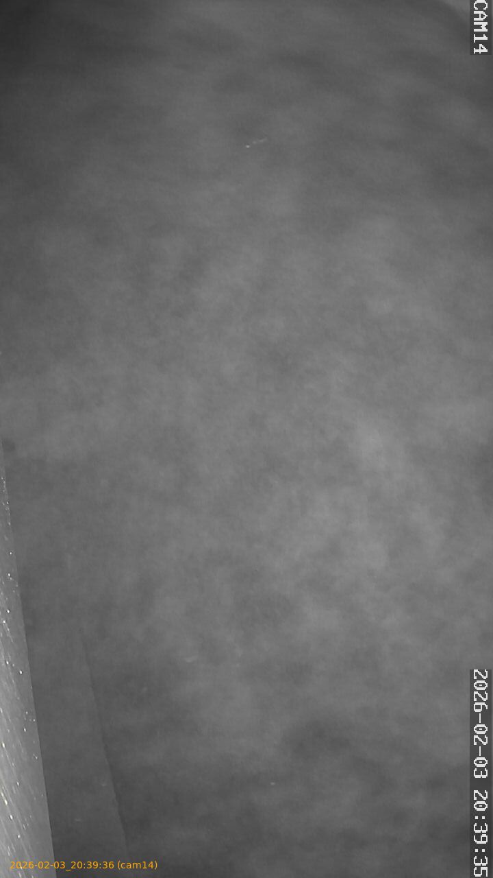 thumbnail_20260203203936