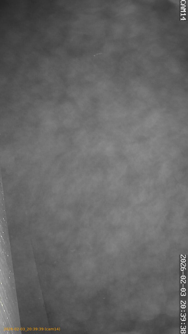 thumbnail_20260203203939