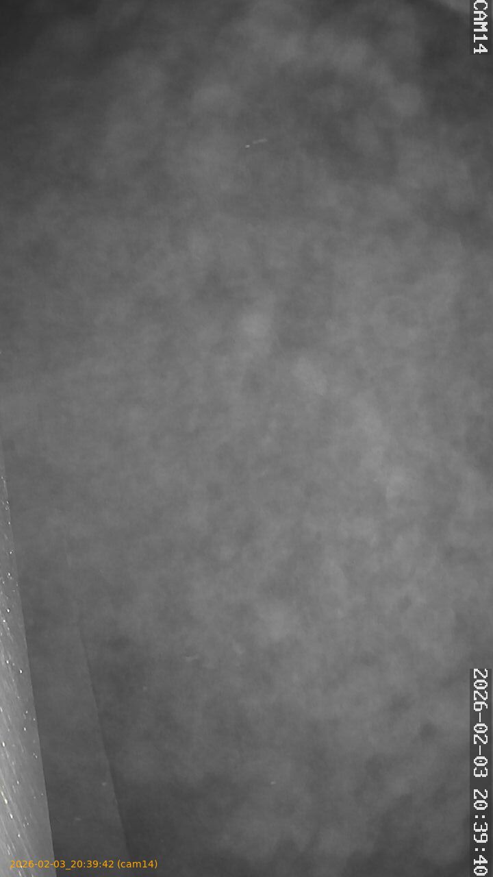 thumbnail_20260203203942