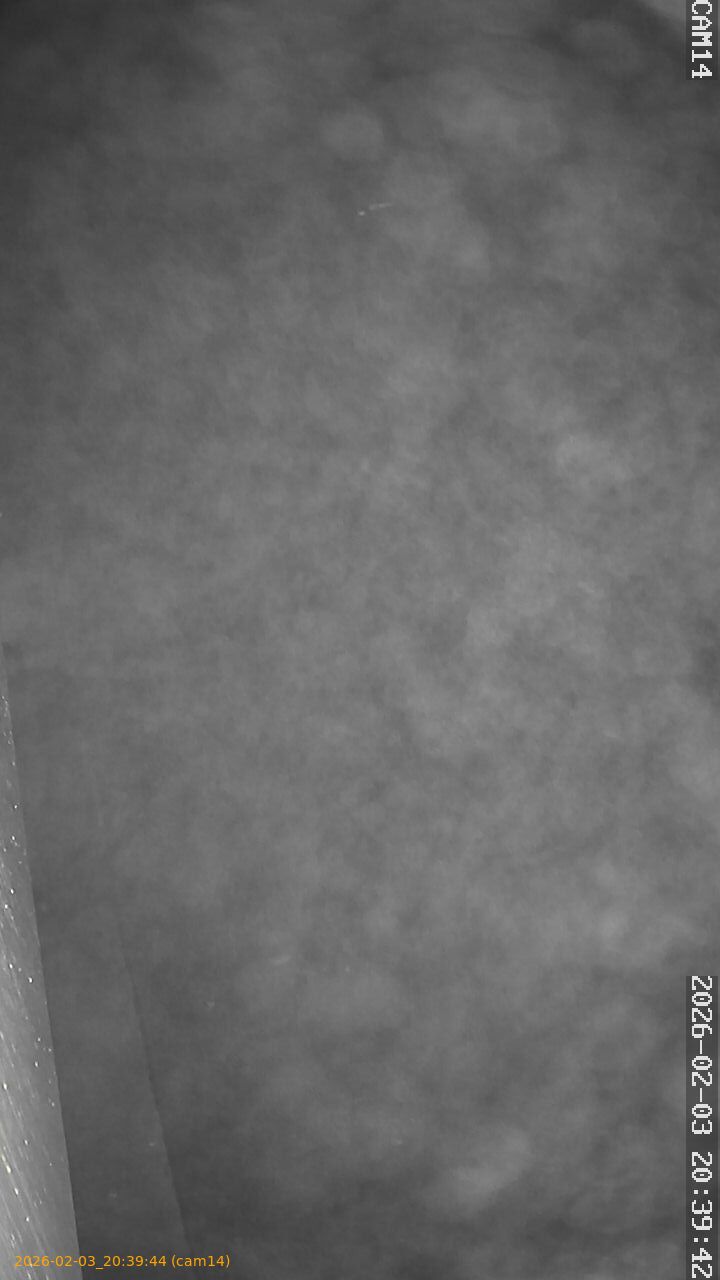 thumbnail_20260203203944