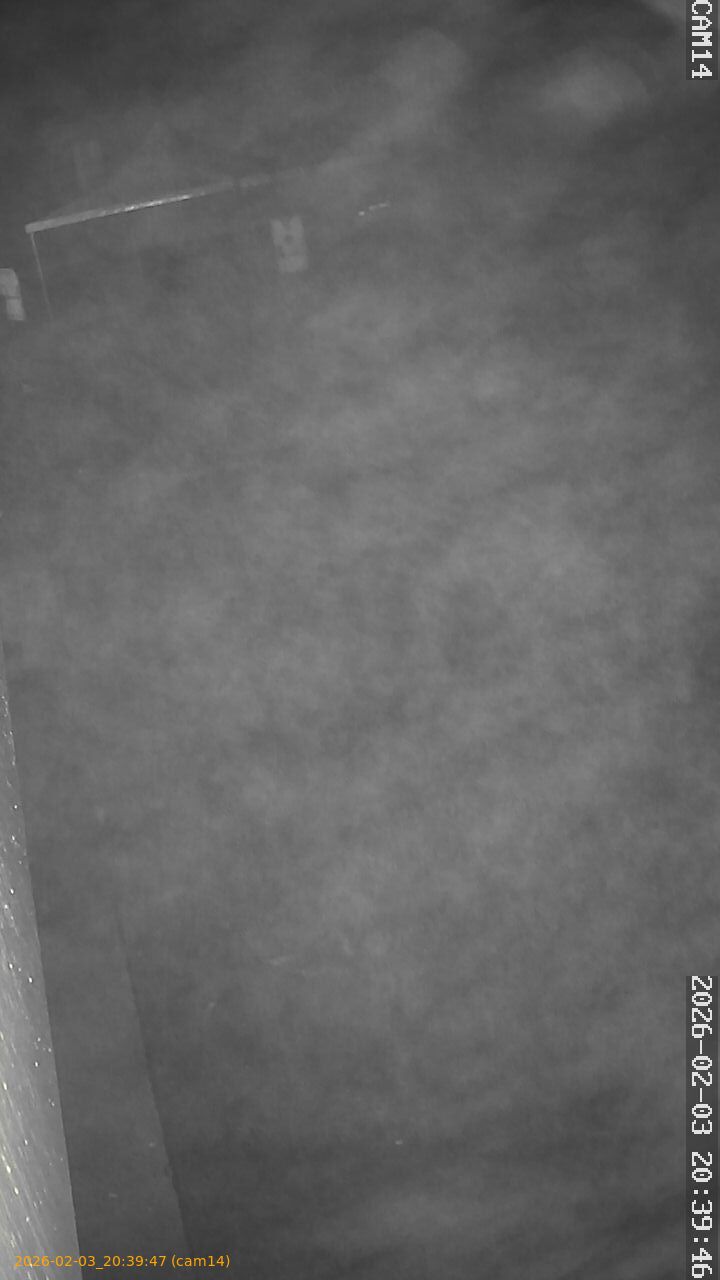 thumbnail_20260203203947