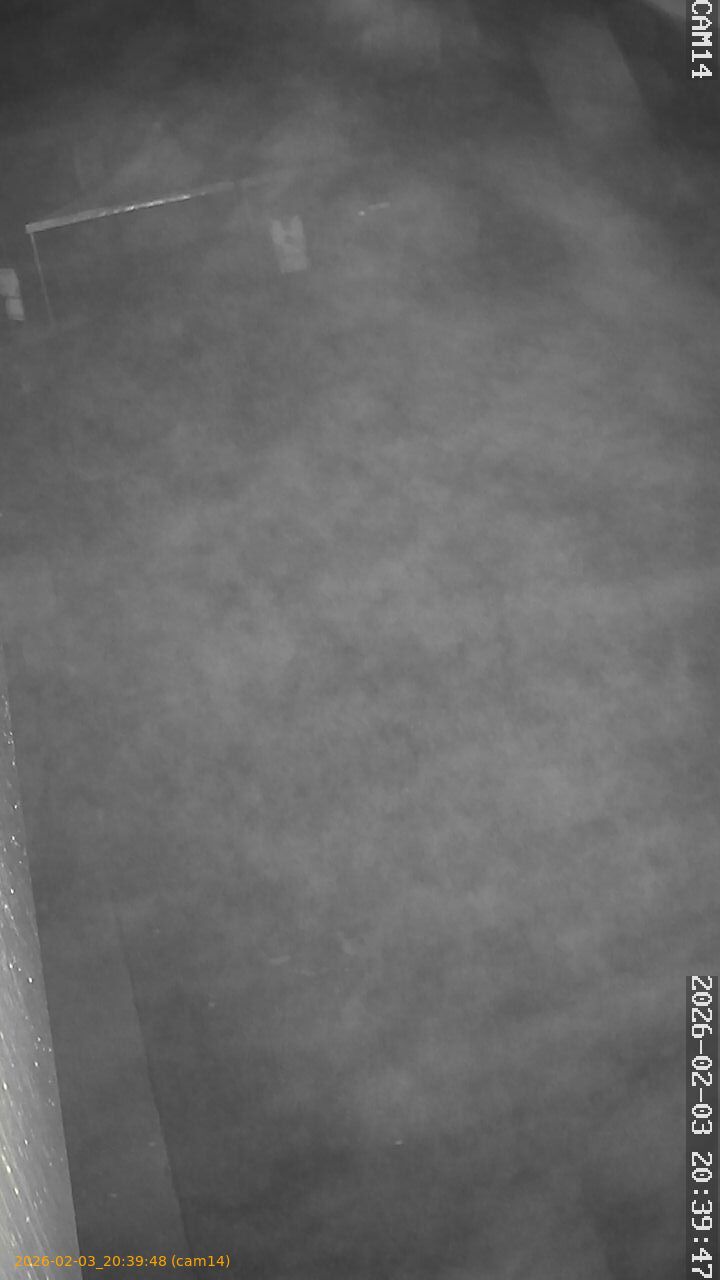 thumbnail_20260203203948