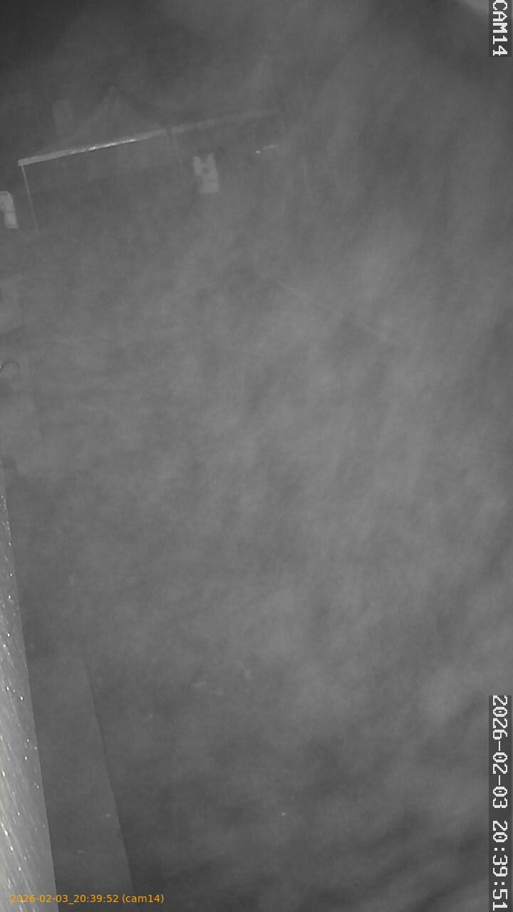 thumbnail_20260203203952