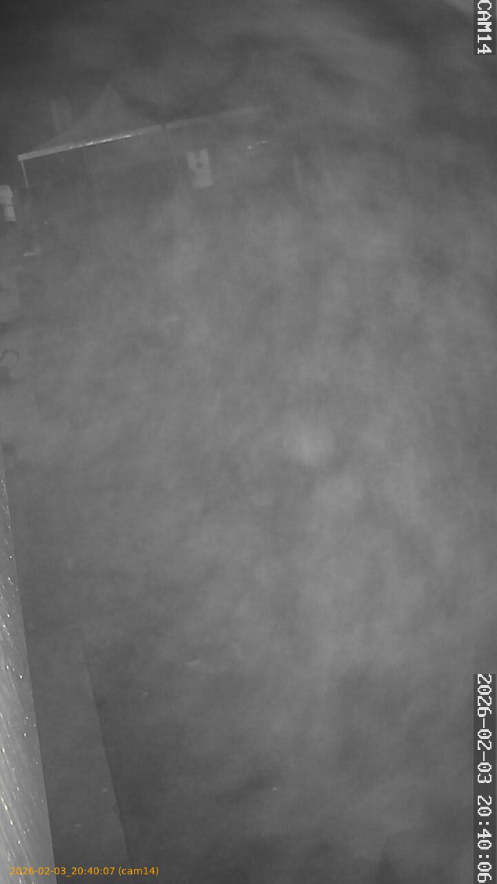 thumbnail_20260203204007