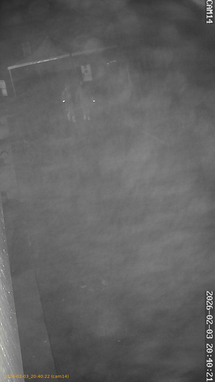 thumbnail_20260203204022