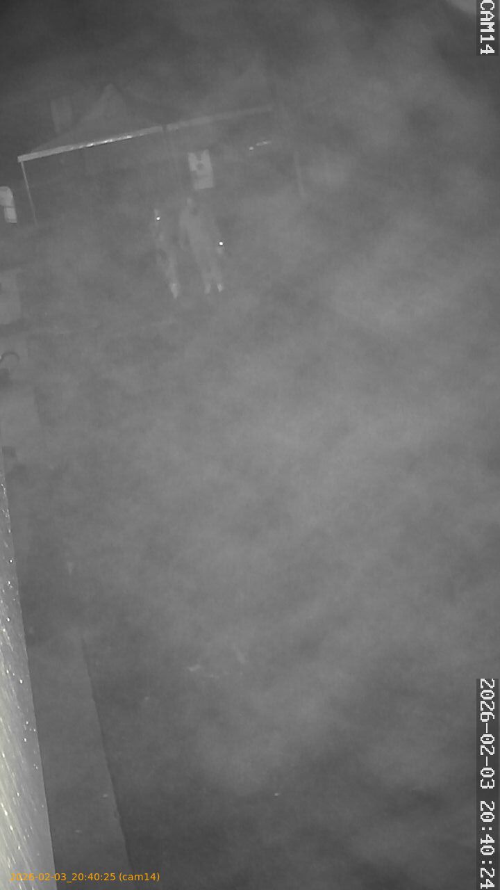 thumbnail_20260203204025