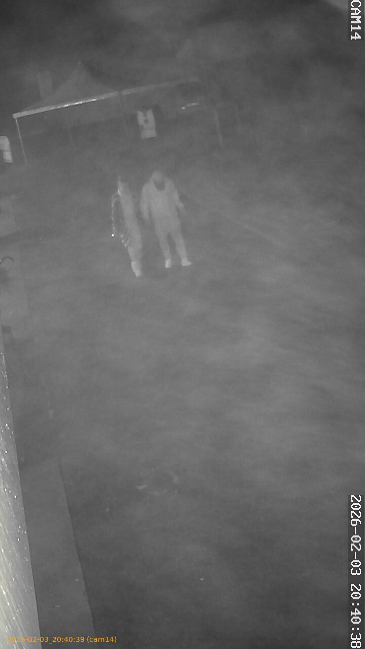 thumbnail_20260203204039