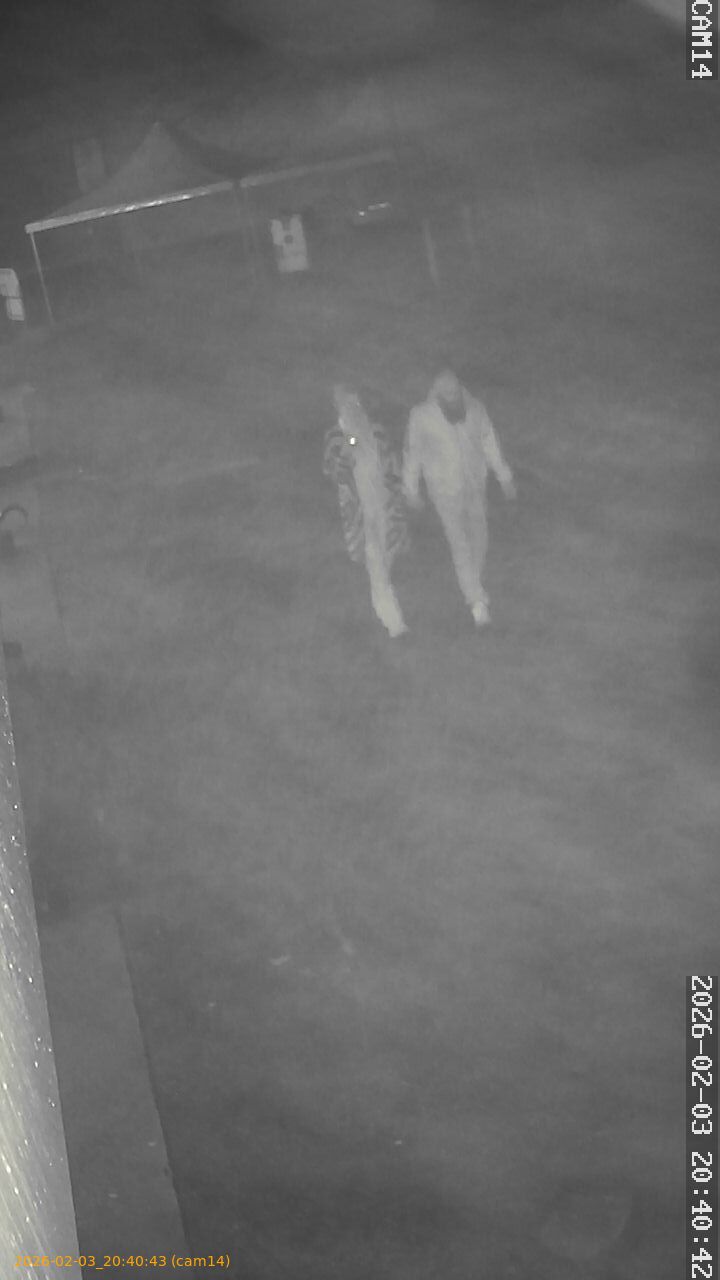 thumbnail_20260203204043