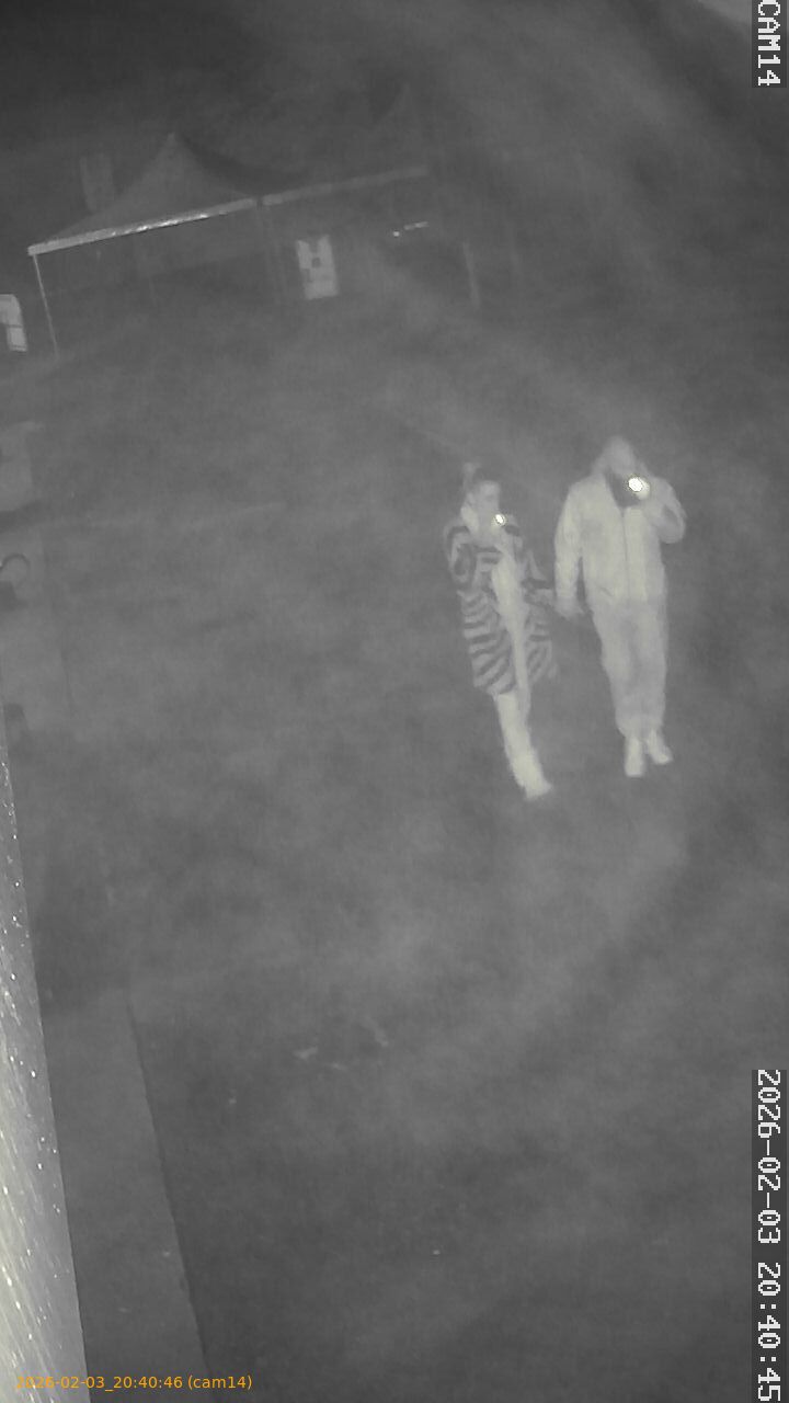 thumbnail_20260203204046