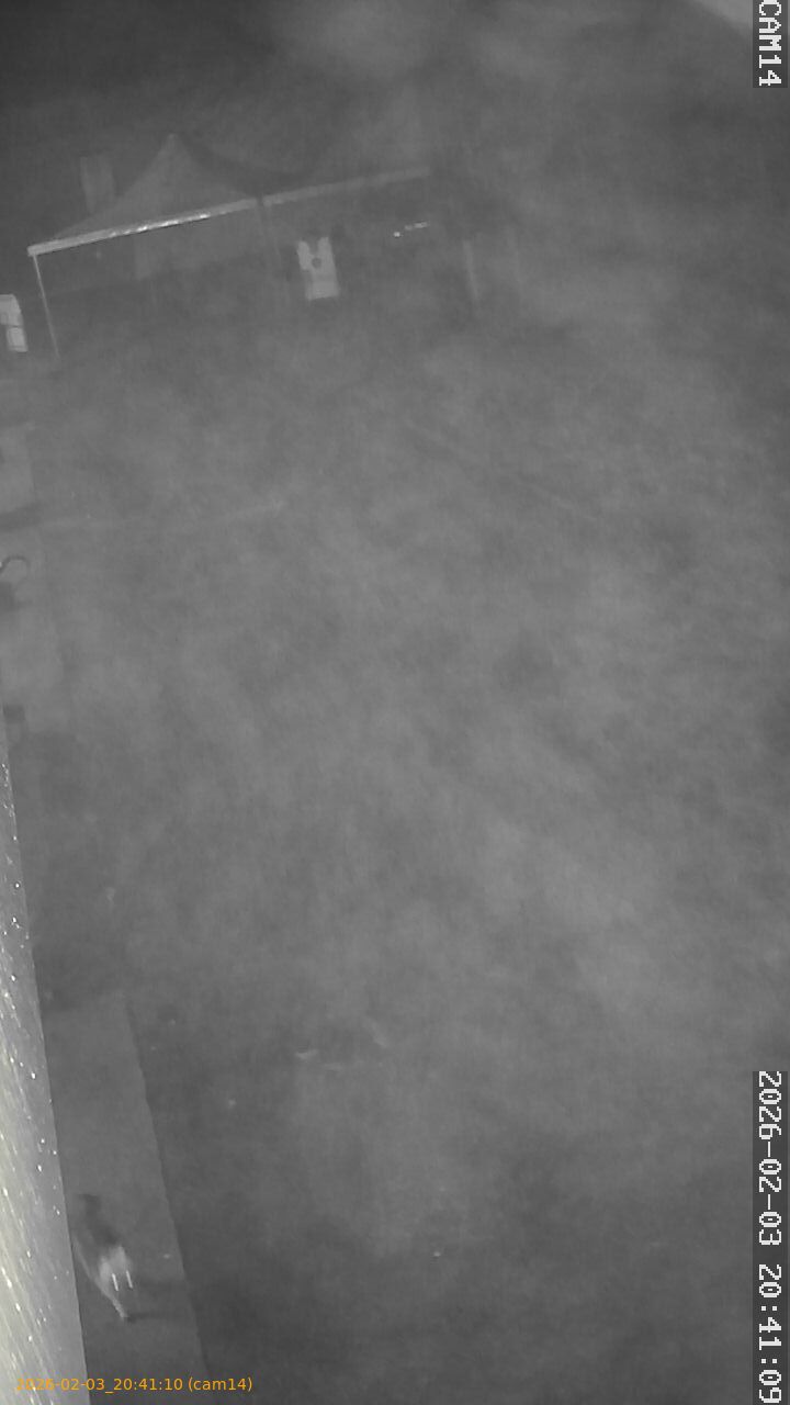 thumbnail_20260203204110