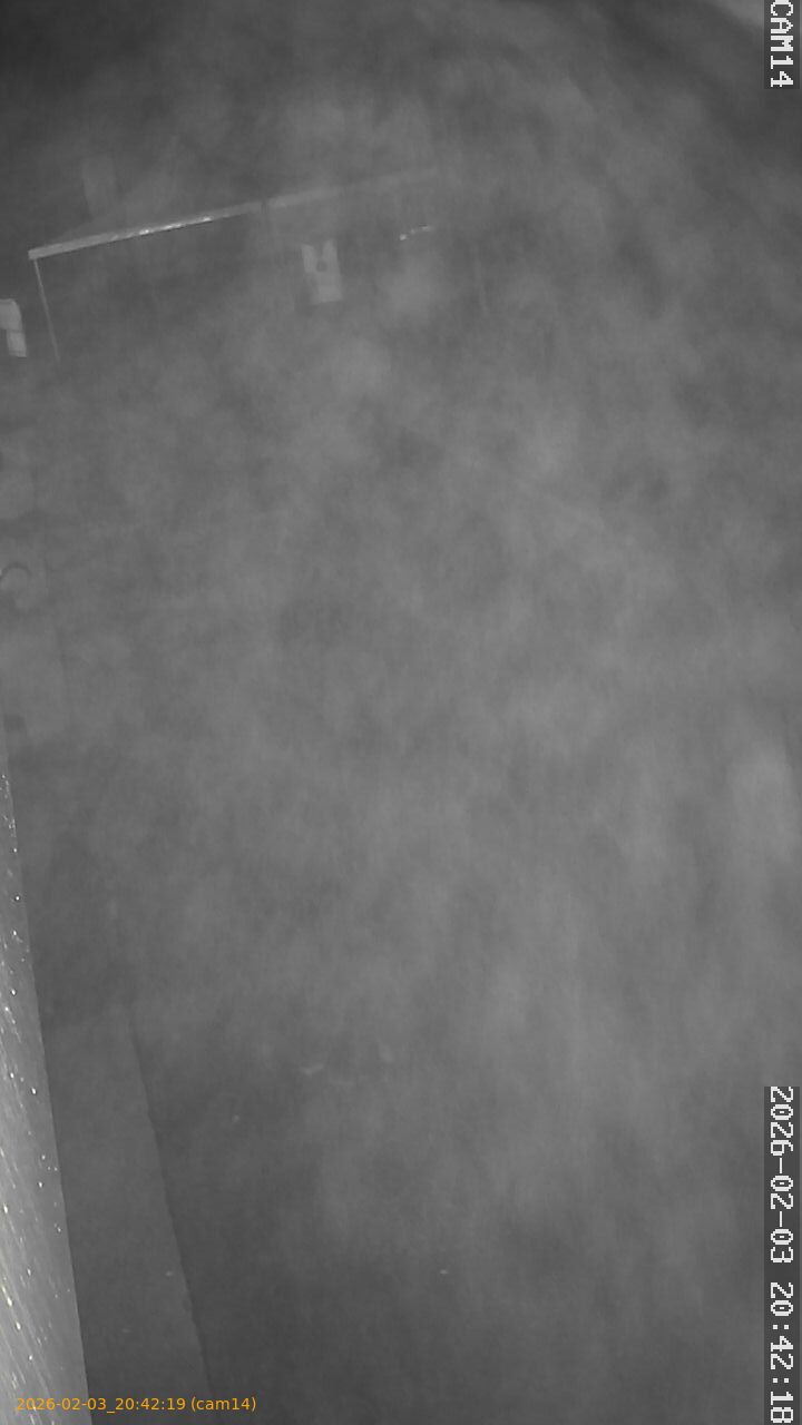 thumbnail_20260203204219