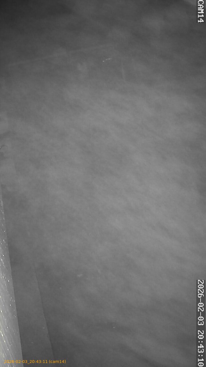 thumbnail_20260203204311