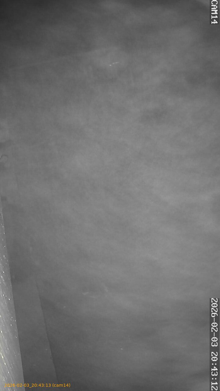 thumbnail_20260203204313