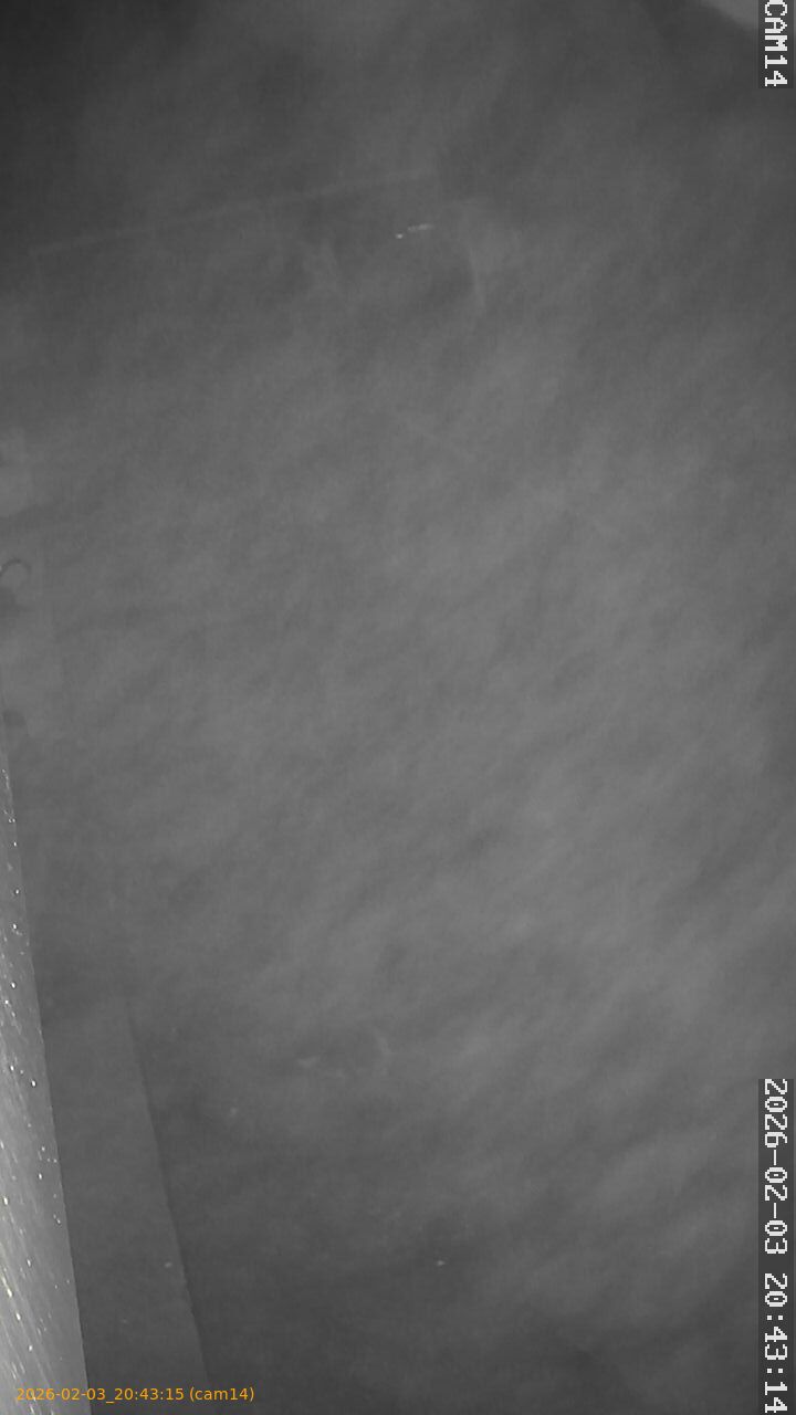 thumbnail_20260203204315