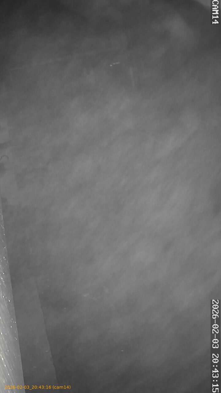 thumbnail_20260203204316