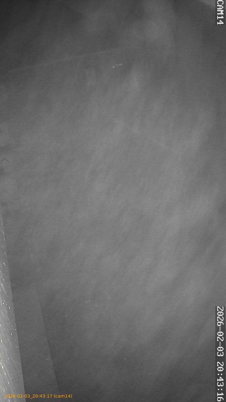 thumbnail_20260203204317