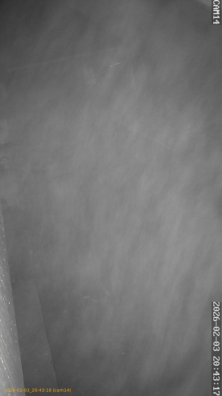 thumbnail_20260203204318