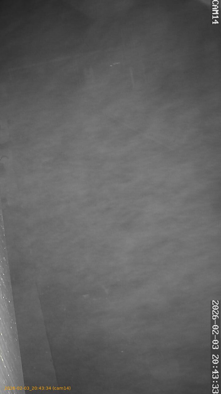 thumbnail_20260203204334