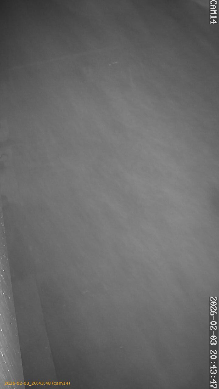 thumbnail_20260203204348