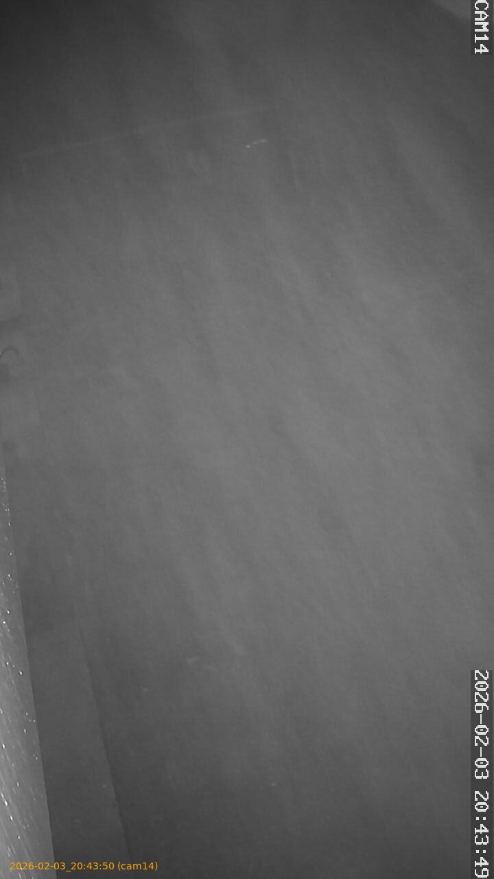 thumbnail_20260203204350