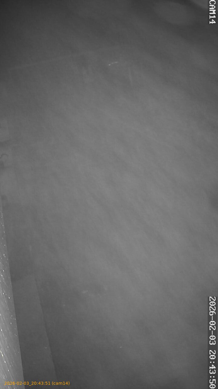 thumbnail_20260203204351