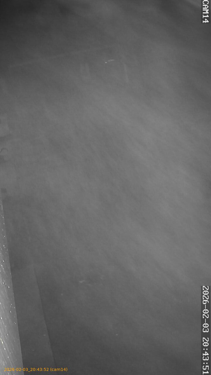 thumbnail_20260203204352