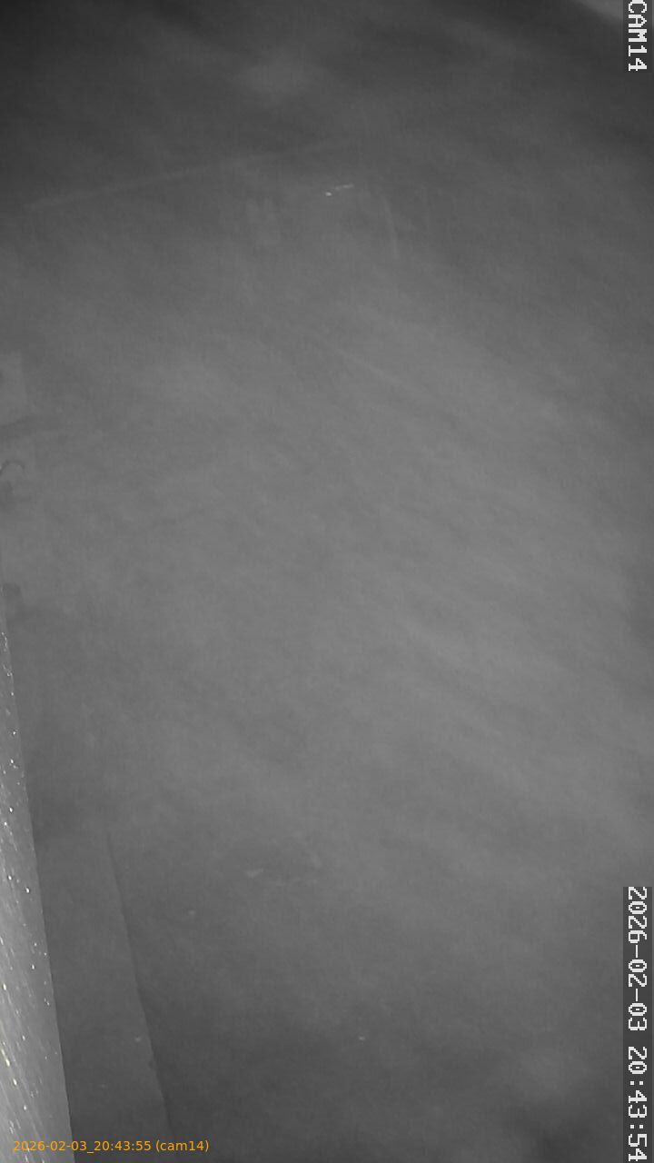 thumbnail_20260203204355