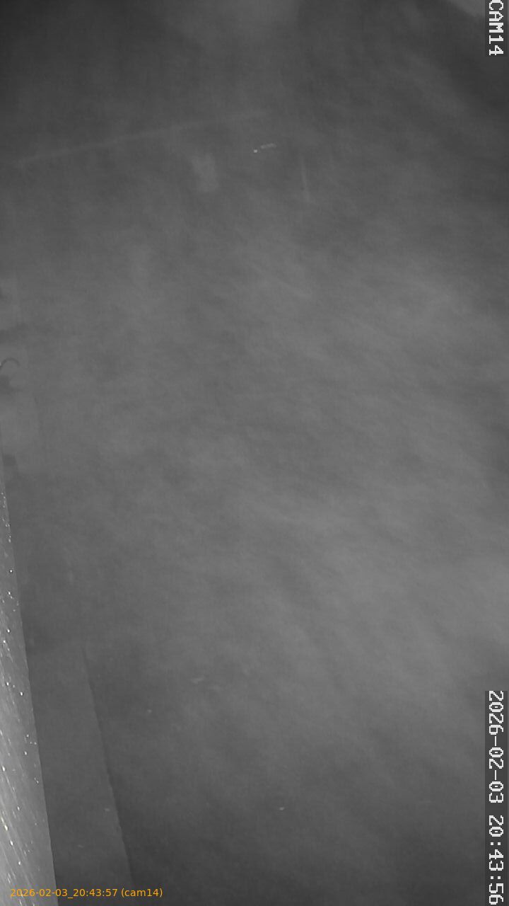 thumbnail_20260203204357