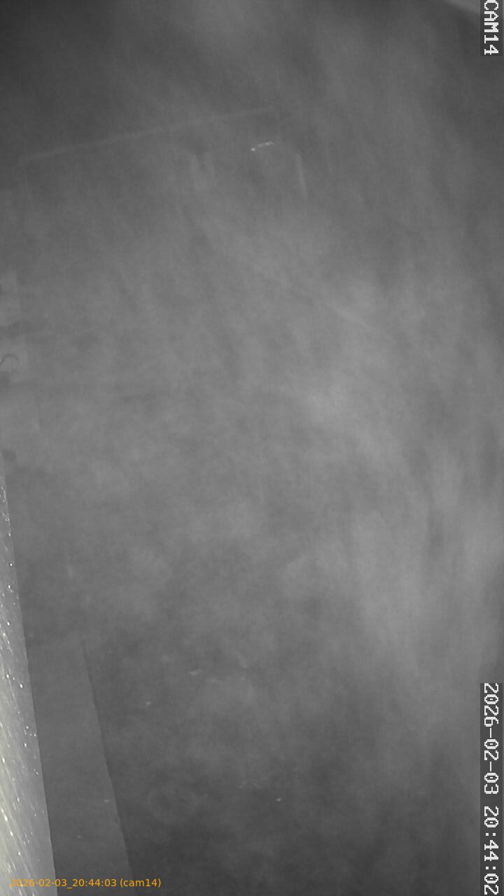 thumbnail_20260203204403