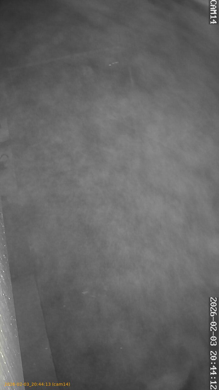 thumbnail_20260203204413