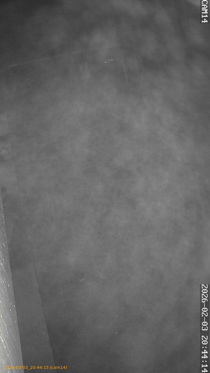 thumbnail_20260203204415