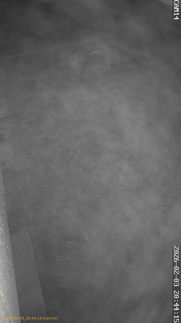 thumbnail_20260203204416