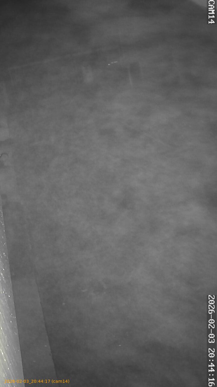 thumbnail_20260203204417