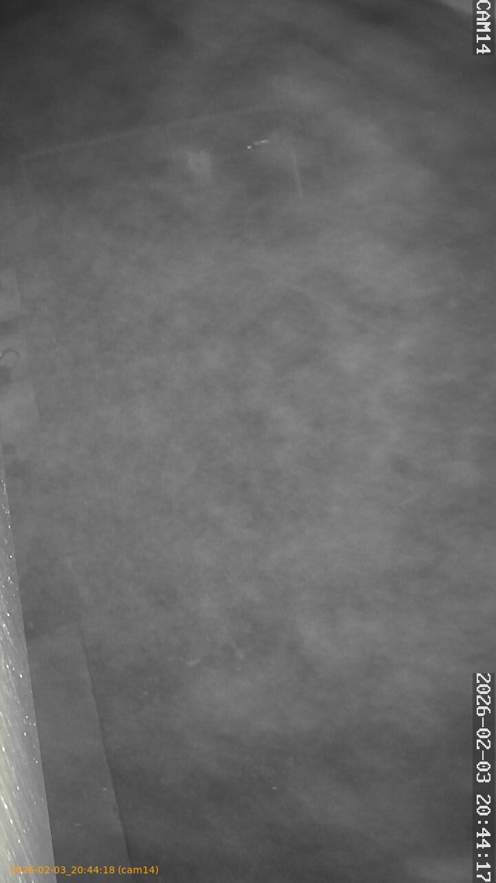 thumbnail_20260203204418