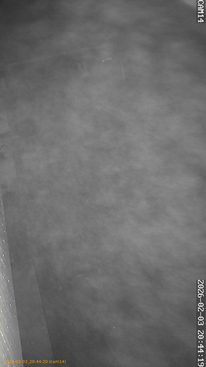 thumbnail_20260203204420