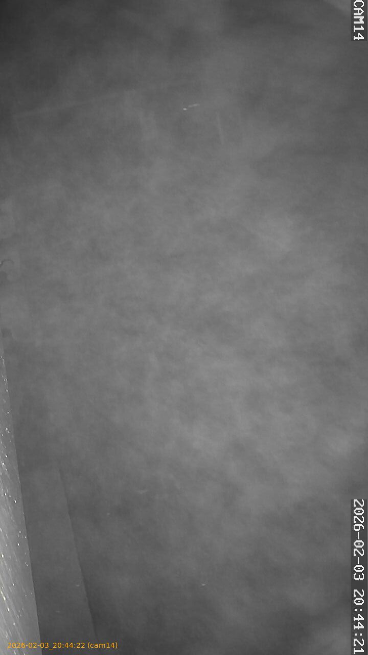 thumbnail_20260203204422