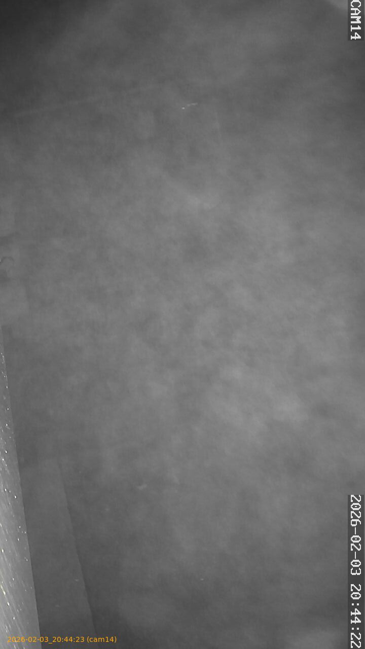 thumbnail_20260203204423