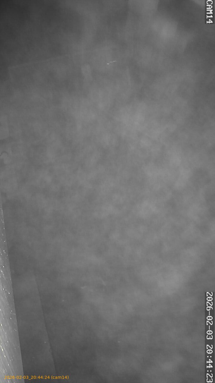 thumbnail_20260203204424