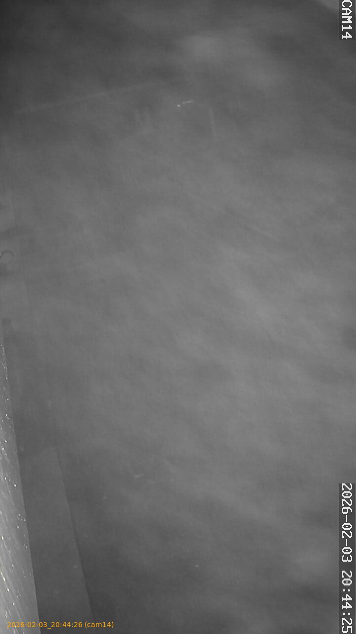 thumbnail_20260203204426